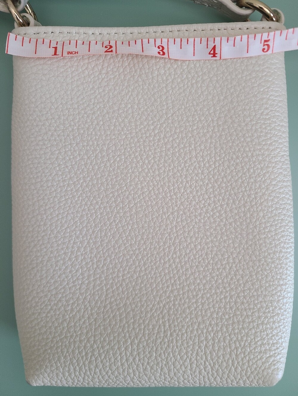 Quince Pebbled Leather Crossbody in Stone - Picture 2 of 10